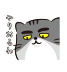 あみたんちのタウまる（個別スタンプ：40）
