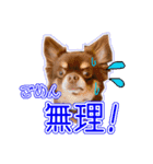 ちょこたんねるスタンプ第1段（個別スタンプ：1）