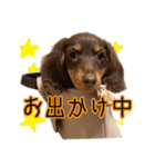 ちょこたんねるスタンプ第1段（個別スタンプ：14）