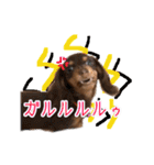 ちょこたんねるスタンプ第1段（個別スタンプ：16）