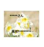 花の写真のメッセージスタンプ（個別スタンプ：3）