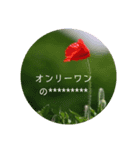 花の写真のメッセージスタンプ（個別スタンプ：4）