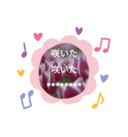 花の写真のメッセージスタンプ（個別スタンプ：6）