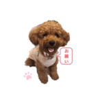 可愛い子の日常（個別スタンプ：1）