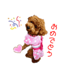可愛い子の日常（個別スタンプ：5）