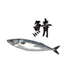 釣り好き釣果報告（個別スタンプ：11）