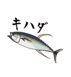 釣り好き釣果報告（個別スタンプ：31）