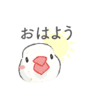 Jiu-Jiu Bird のあいさつ（個別スタンプ：1）