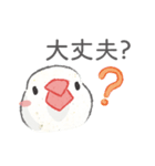 Jiu-Jiu Bird のあいさつ（個別スタンプ：6）