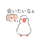 Jiu-Jiu Bird のあいさつ（個別スタンプ：11）