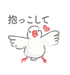 Jiu-Jiu Bird のあいさつ（個別スタンプ：12）