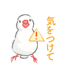 Jiu-Jiu Bird のあいさつ（個別スタンプ：14）