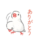 Jiu-Jiu Bird のあいさつ（個別スタンプ：16）