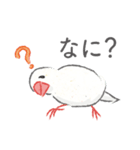 Jiu-Jiu Bird のあいさつ（個別スタンプ：17）