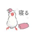 Jiu-Jiu Bird のあいさつ（個別スタンプ：20）