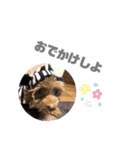 犬のジル（個別スタンプ：2）