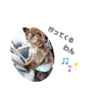 犬のジル（個別スタンプ：4）