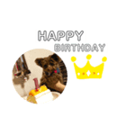 犬のジル（個別スタンプ：5）