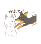 元気な犬とムカつく猫（個別スタンプ：1）