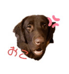 aiken③（個別スタンプ：7）