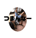 みやandくさ（個別スタンプ：16）