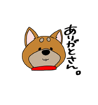 しば！（個別スタンプ：1）