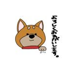 しば！（個別スタンプ：3）