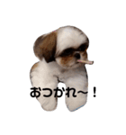 我が家のもじゃ（個別スタンプ：8）