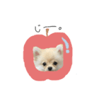 小夏くんのスタンプ（個別スタンプ：6）