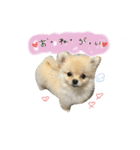 小夏くんのスタンプ（個別スタンプ：10）