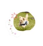 小夏くんのスタンプ（個別スタンプ：12）