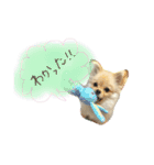 小夏くんのスタンプ（個別スタンプ：14）