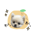 小夏くんのスタンプ（個別スタンプ：17）