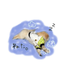 小夏くんのスタンプ（個別スタンプ：18）
