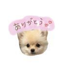 小夏くんのスタンプ（個別スタンプ：23）