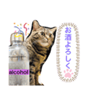 白山家の猫達1（個別スタンプ：12）