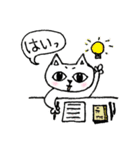 猫のきょろり 日常版（個別スタンプ：1）