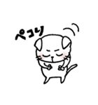 猫のきょろり 日常版（個別スタンプ：7）
