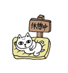 猫のきょろり 日常版（個別スタンプ：34）