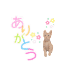 ちびちゃん実写ねこスタンプ（個別スタンプ：19）