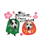 ジャックの☆はる＆ひと♡（個別スタンプ：14）