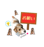 ジャックの☆はる＆ひと♡（個別スタンプ：19）