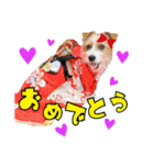 クレアファミリー②（個別スタンプ：1）