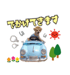 クレアファミリー②（個別スタンプ：16）
