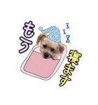 クレアファミリー②（個別スタンプ：17）