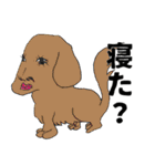人面zoo（個別スタンプ：4）
