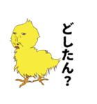 人面zoo（個別スタンプ：17）