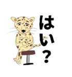 人面zoo（個別スタンプ：19）