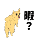 人面zoo（個別スタンプ：20）