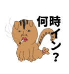 人面zoo（個別スタンプ：21）